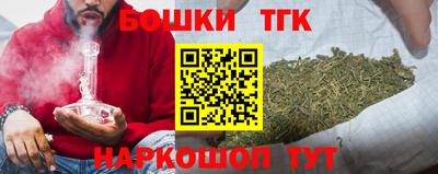 индика Обнинск