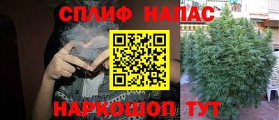 индика Обнинск