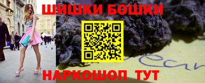 индика Обнинск